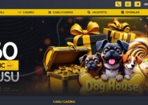 Casinoaktif